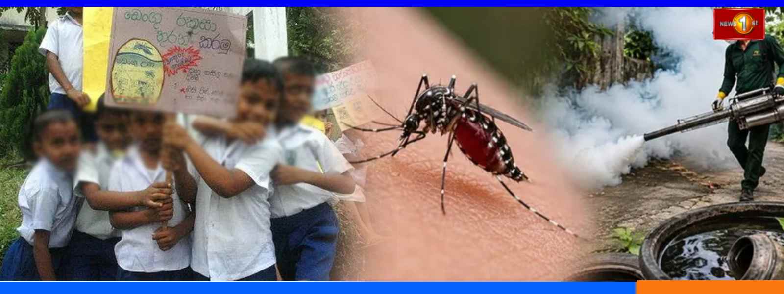 මදුරු කීටයන් සහිත පරිශ්‍ර වැඩිම සංඛ්‍යාවක් පාසල්වල